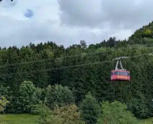 1000077648 1 e1754237644212